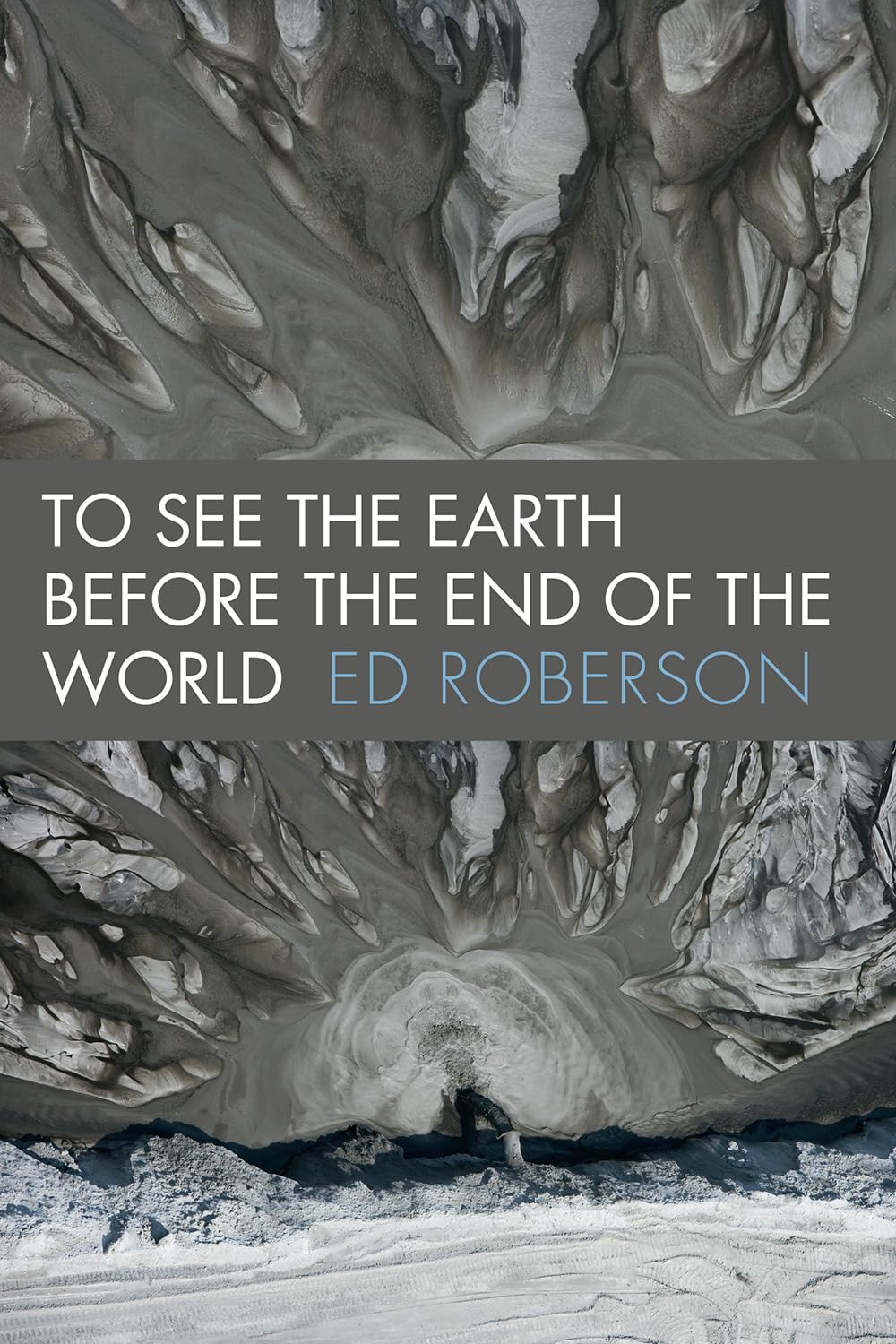 To See the Earth Before the End of the World (Wesleyan Poetry Series)