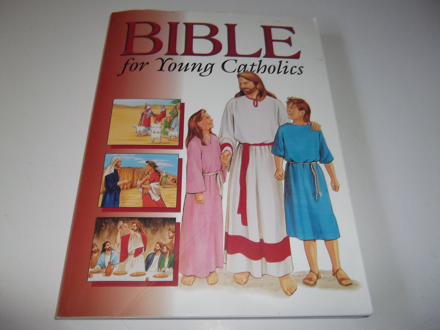 Bible for Young Catholics