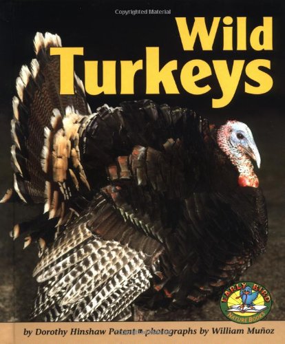 Wild Turkeys (Early Bird Nature Books)
