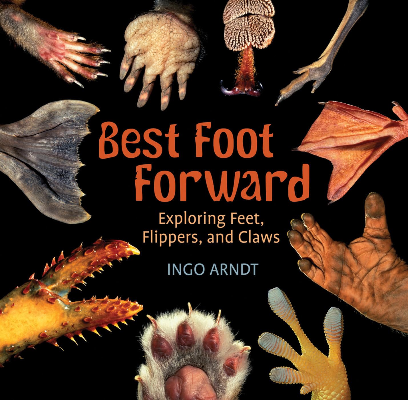 Best Foot Forward: Exploring Feet, Flippers, and Claws - 2866