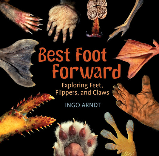 Best Foot Forward: Exploring Feet, Flippers, and Claws - 2866