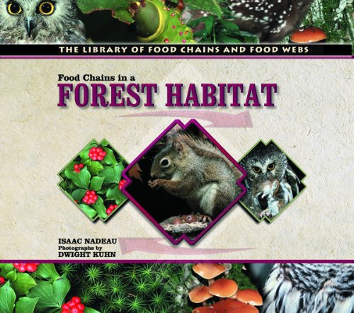 Food Chains in a Forest Habitat (The Library of Food Chains and Food Webs)