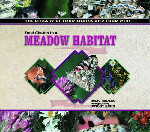 Food Chains in a Meadow Habitat (The Library of Food Chains and Food Webs)