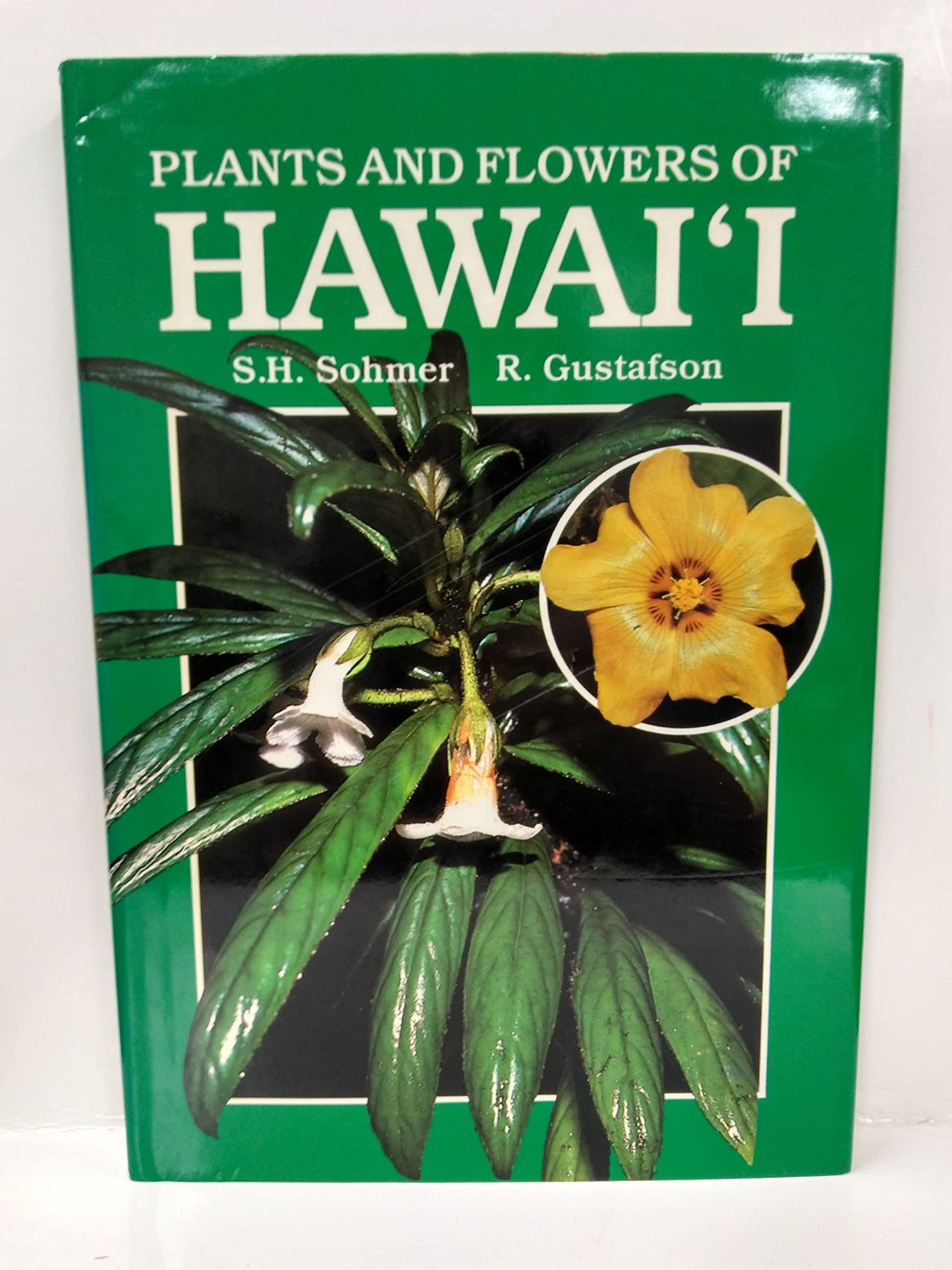 Plants And Flowers of Hawai'i