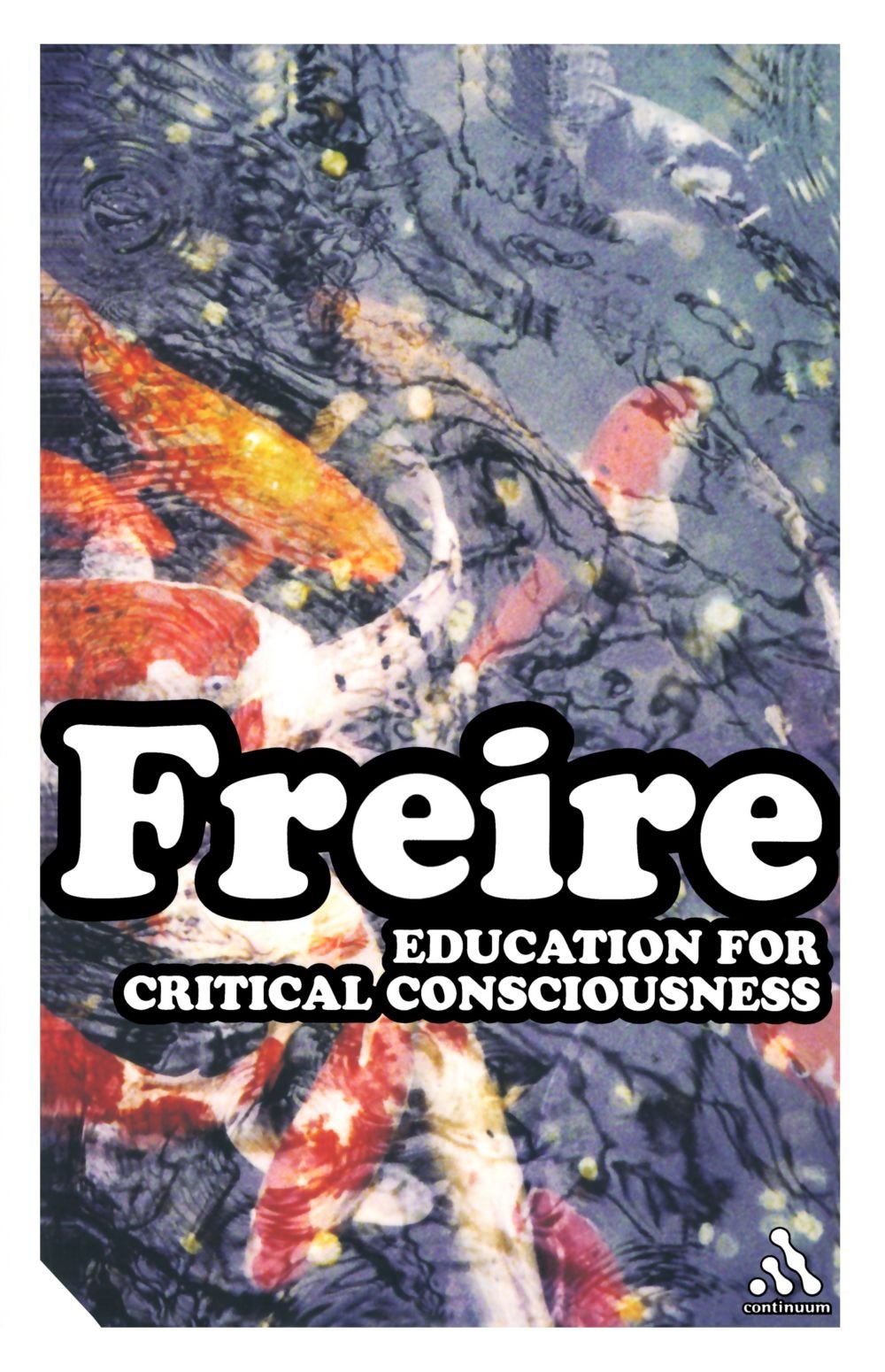 Education for Critical Consciousness (Continuum Impacts)