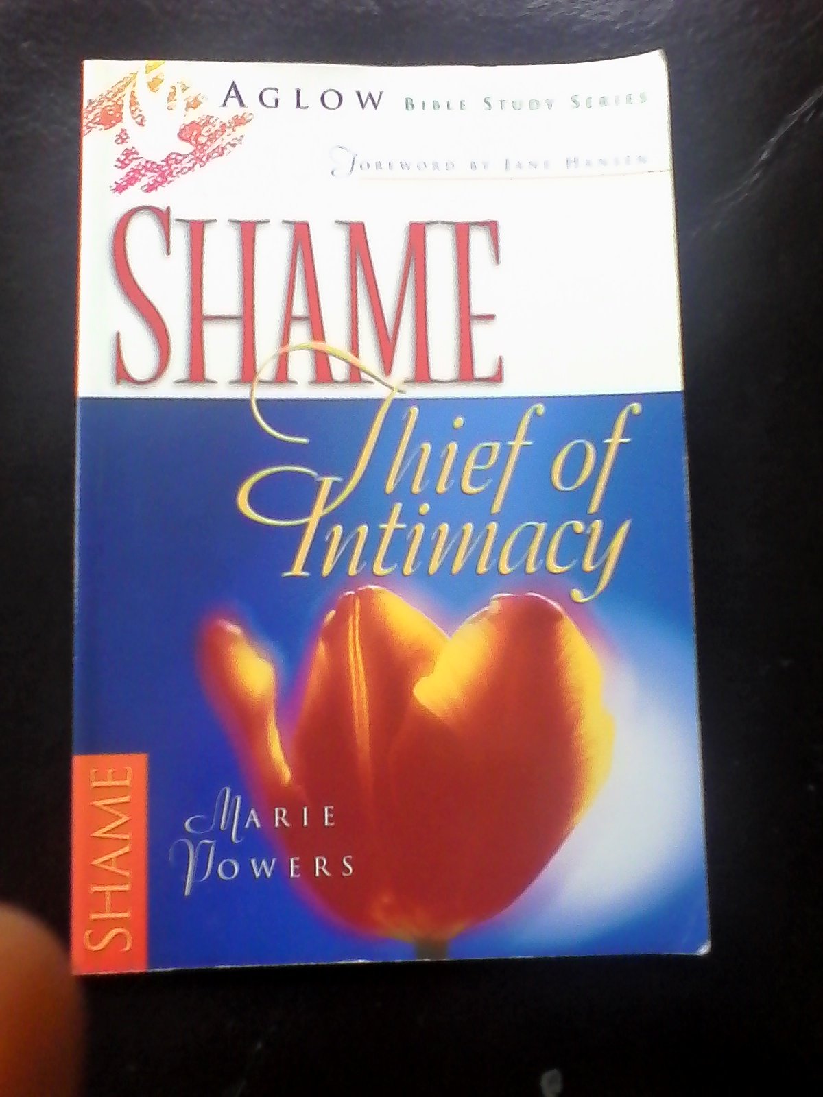 Shame: Thief of Intimacy : Unmasking the Accuser