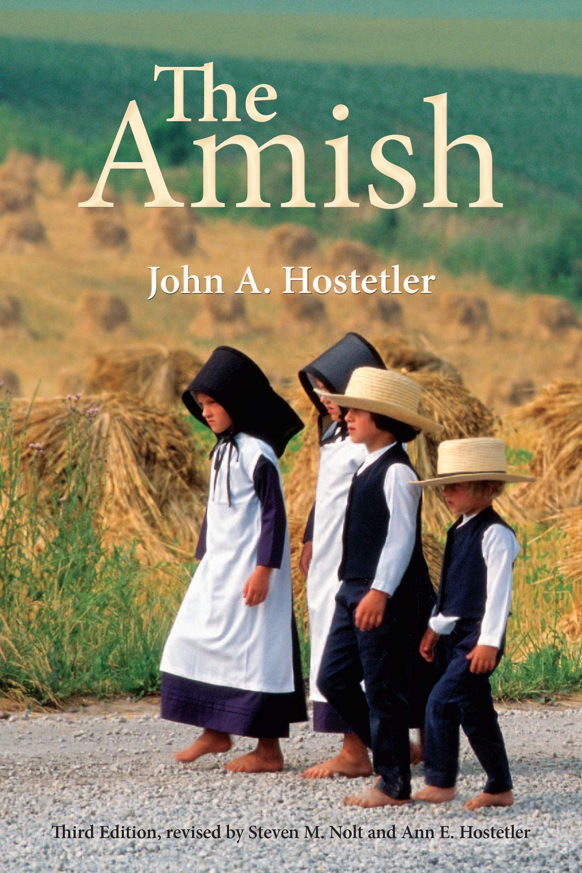 The Amish, Third edition