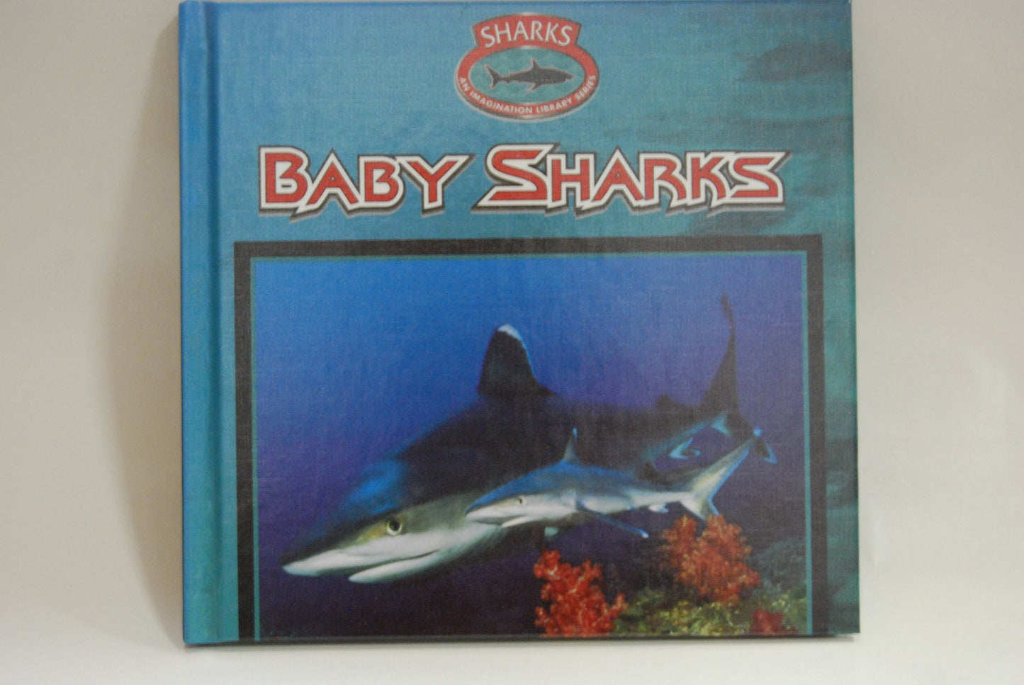 Baby Sharks