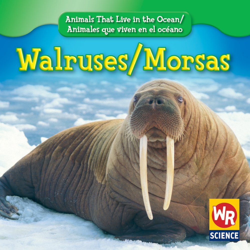 Walruses/ Morsas (Animals That Live in the Ocean/ Animales Que Viven En El Oceano) (English and Spanish Edition)