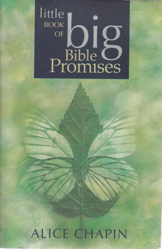 The Little Book of Big Bible Promises