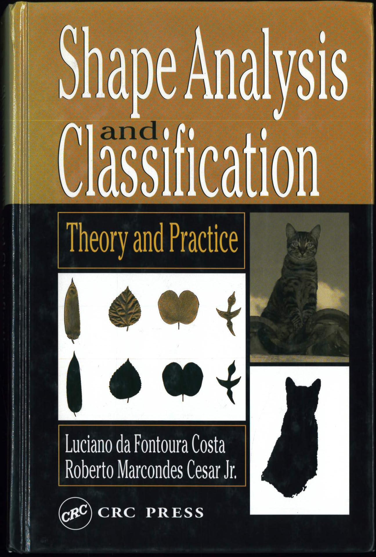 Shape Analysis and Classification: Theory and Practice (Image Processing Series)