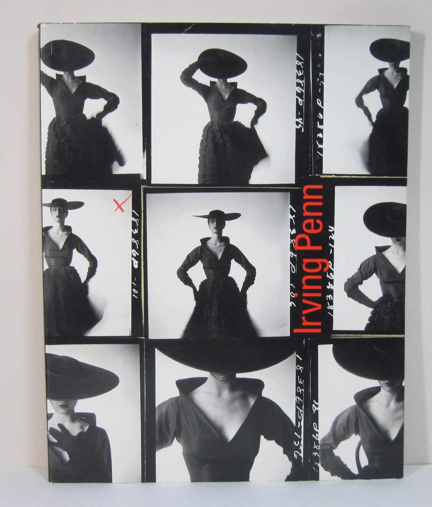 Irving Penn: A Career in Photography