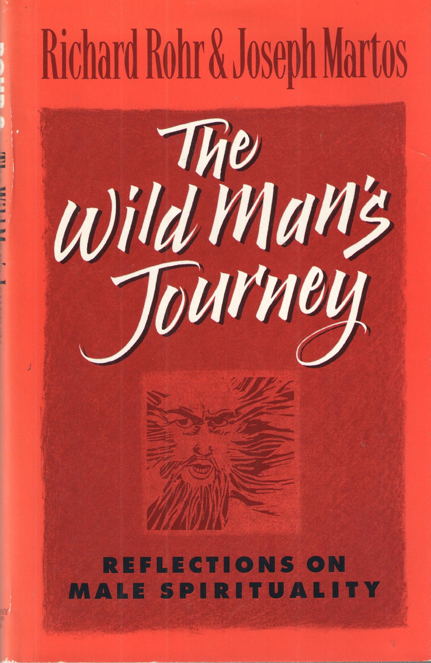 The Wild Mans Journey: Reflections on Male Spirituality