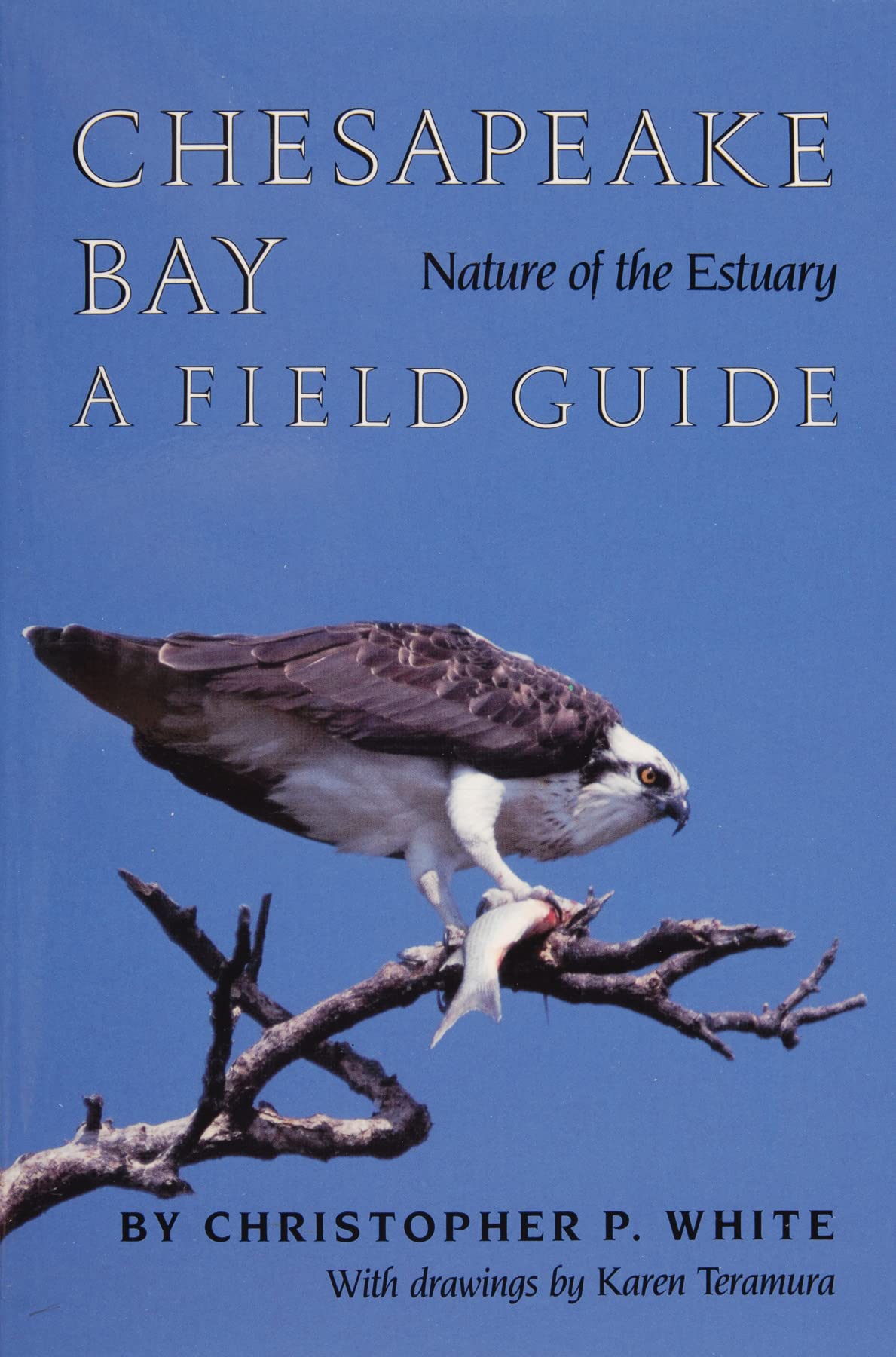 Chesapeake Bay: Nature of the Estuary : A Field Guide