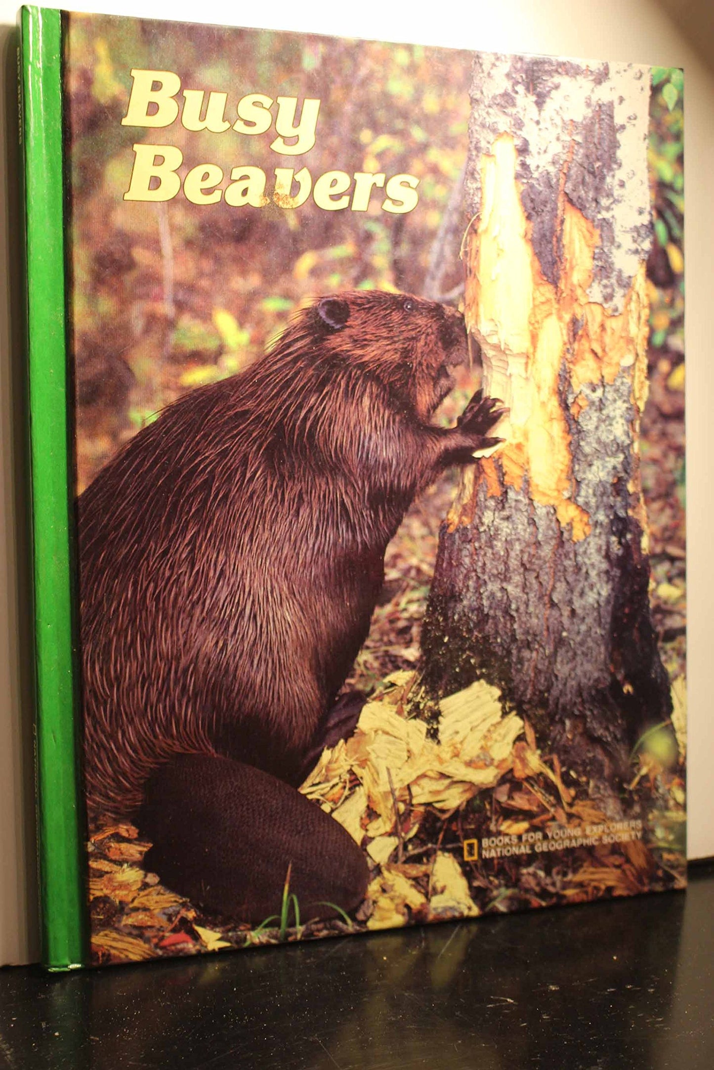 Busy Beavers (Books for Young Explorers)
