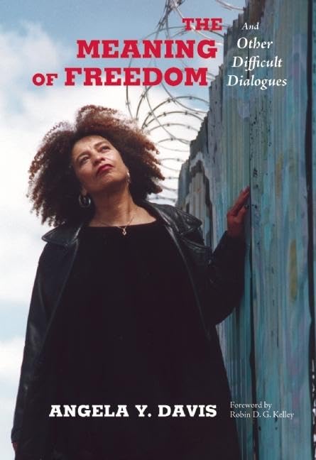The Meaning of Freedom: And Other Difficult Dialogues (City Lights Open Media) - 9547