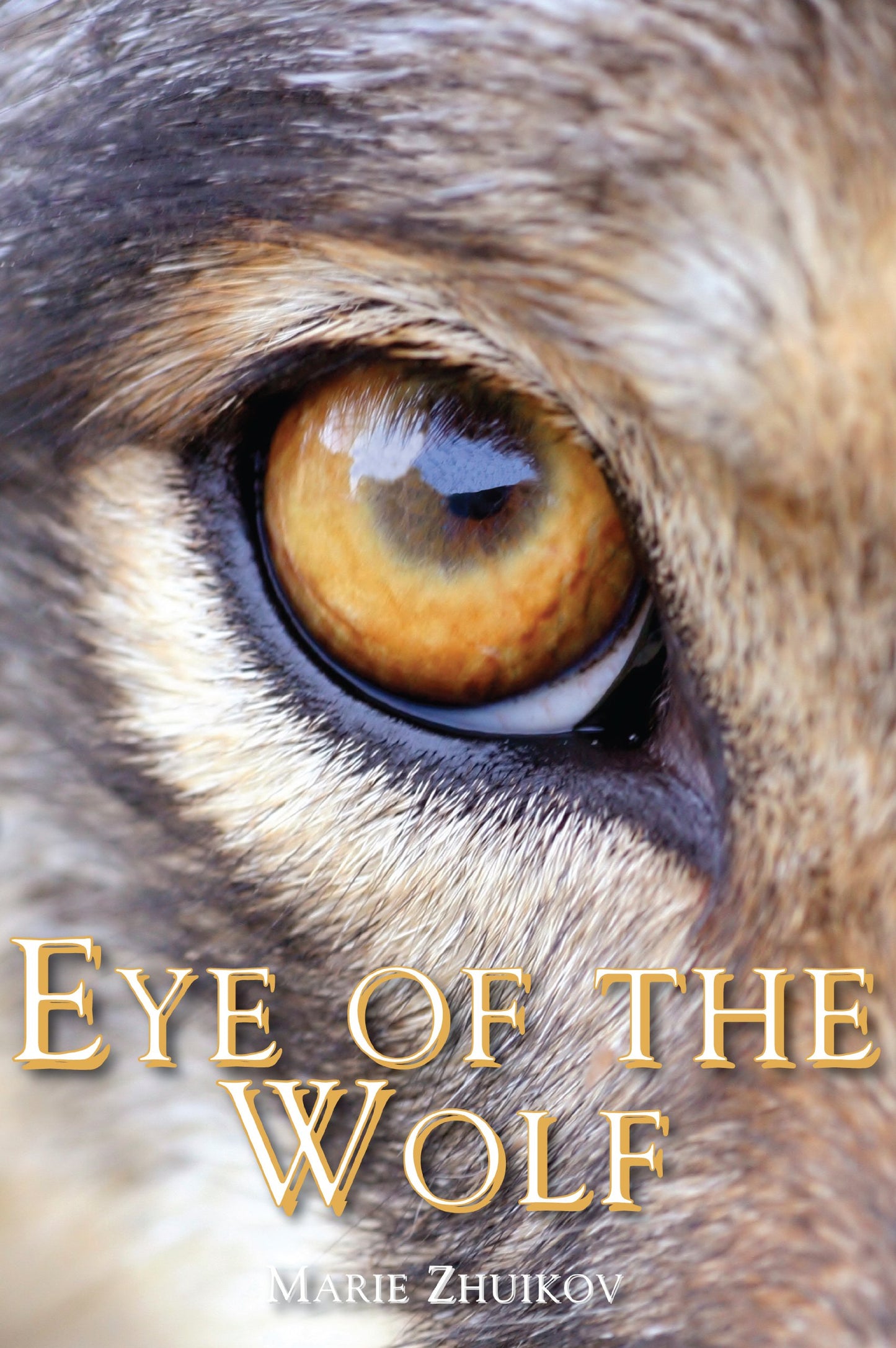 Eye of the Wolf