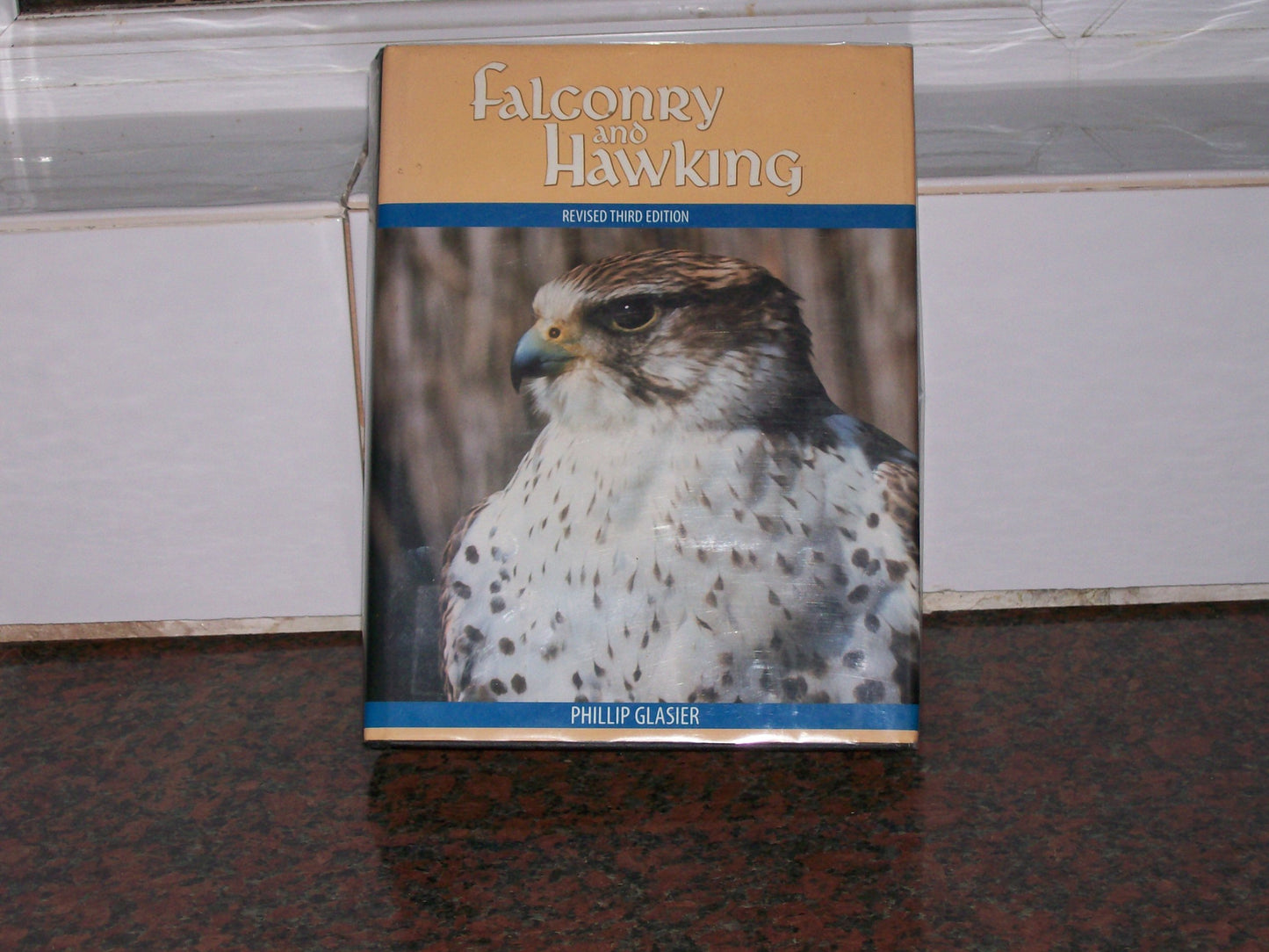 Falconry and Hawking