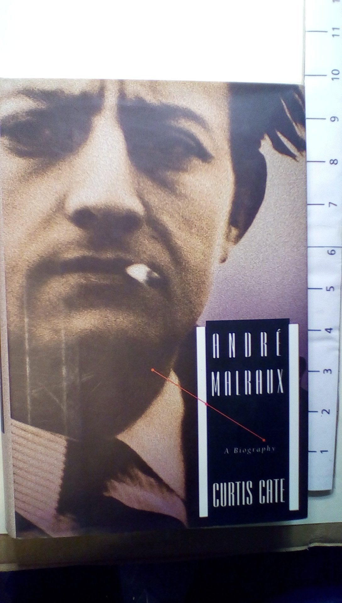 Andre Malraux: A Biography