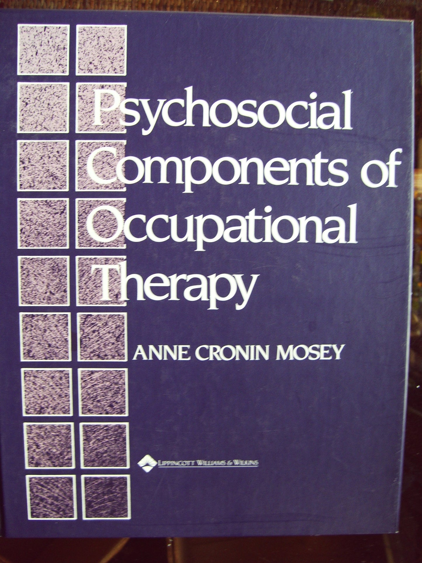 Psychosocial Components of Occupational Therapy