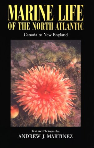 Marine Life of the North Atlantic: Canada to New England