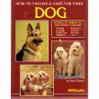 How to Choose & Care for Your Dog