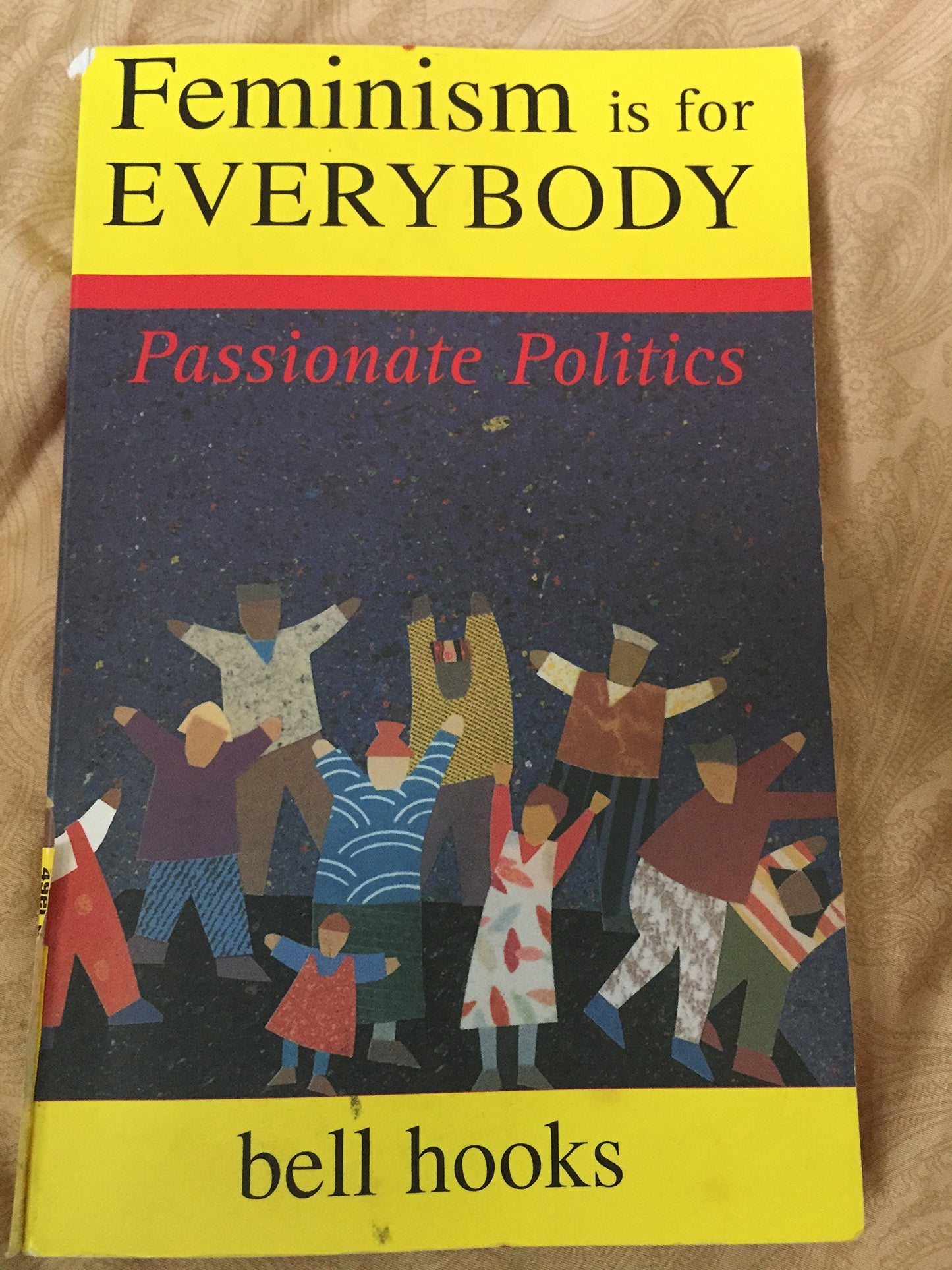 Feminism Is for Everybody: Passionate Politics