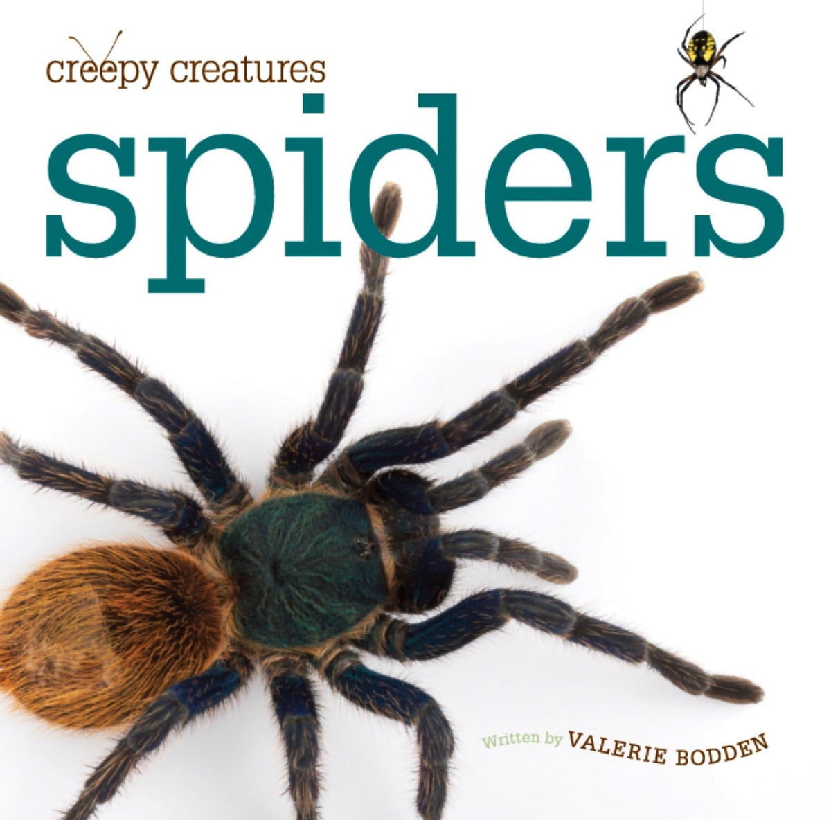 Creepy Creatures: Spiders