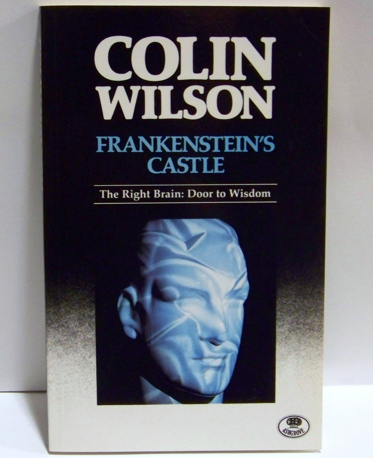 Frankenstein's Castle: The Right Brain: Door to Wisdom