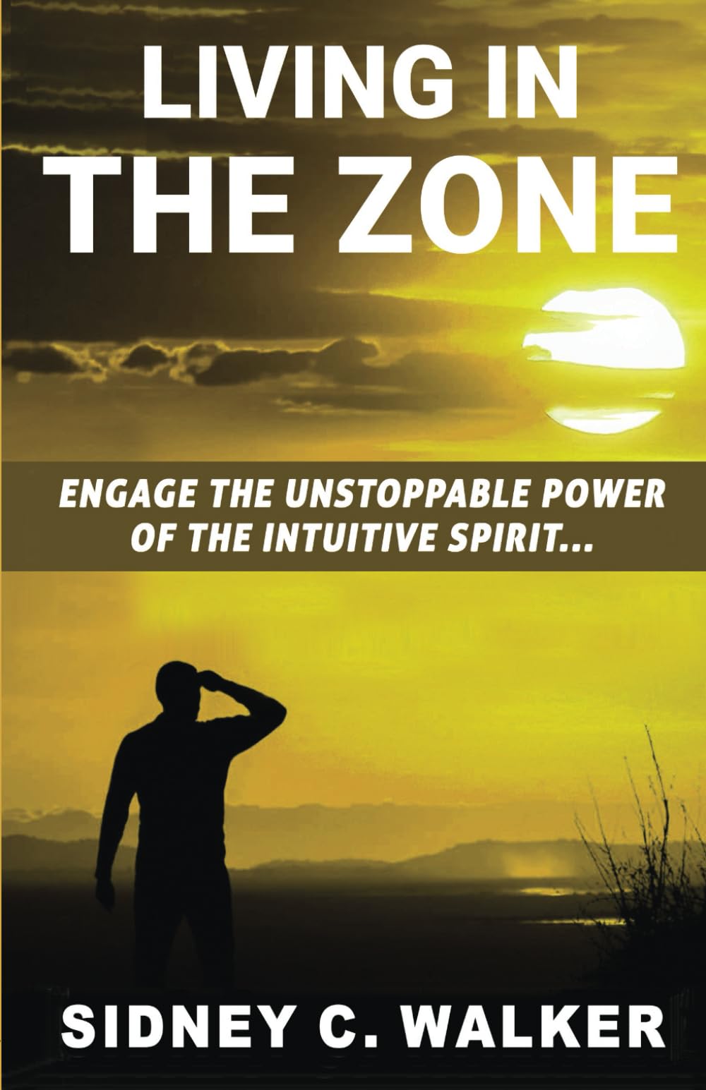 Living In The Zone: Engage the Unstoppable Power of the Intuitive Spirit - 9942