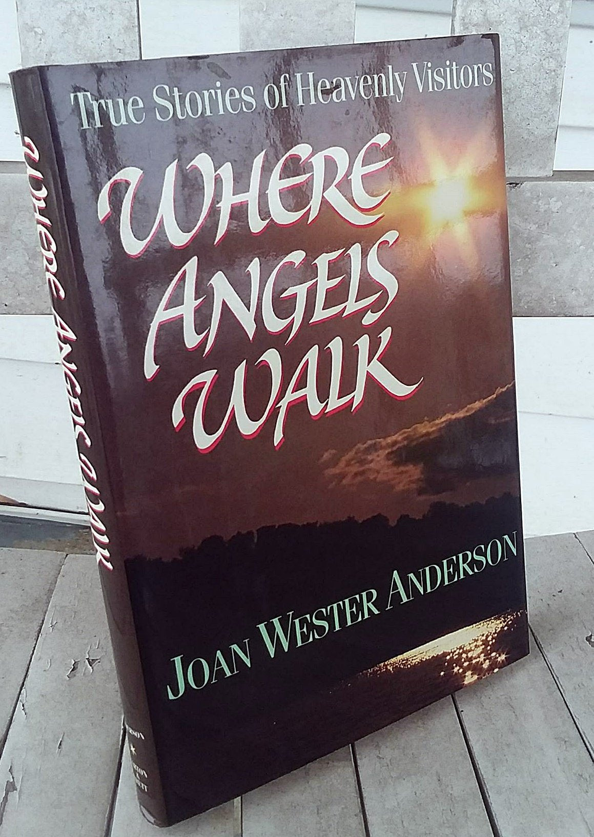 Where Angels Walk: True Stories of Heavenly Visitors - 6764