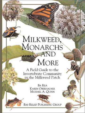 Milkweed Monarchs and More A Field Guide to the Invertebrate Community in a Milkweed Patch