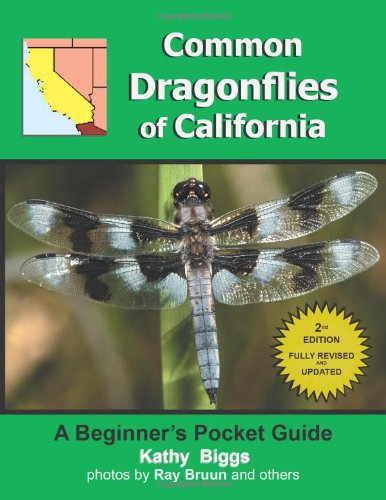 Common Dragon Flies of California: A Beginner's Pocket Guide