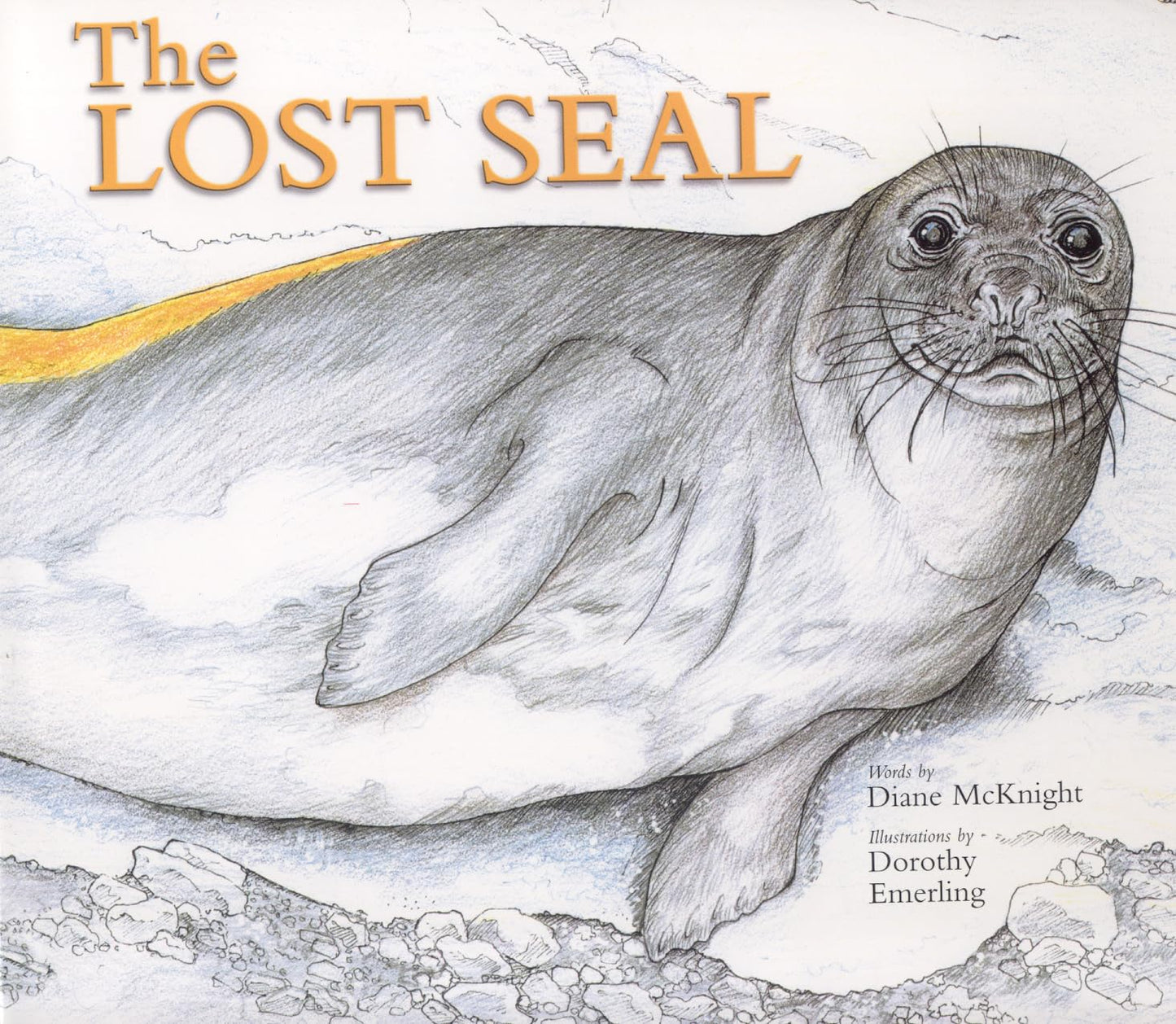 The Lost Seal (Long Term Ecological Research)