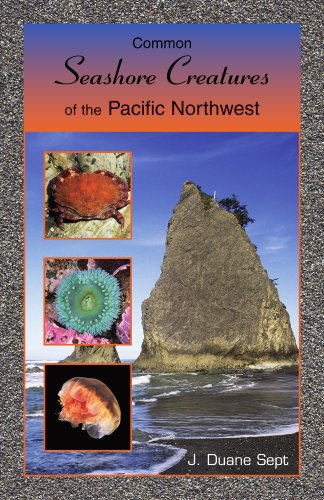 Common Seashore Creatures of the Pacific Northwest