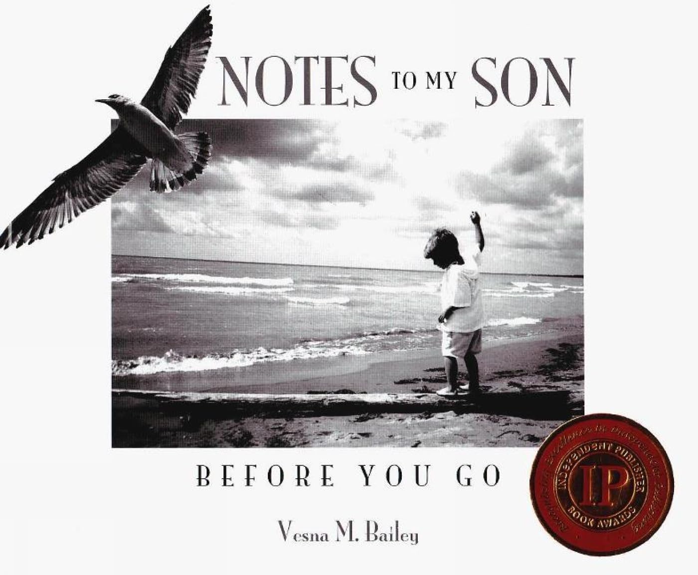 Notes To My Son Before You Go