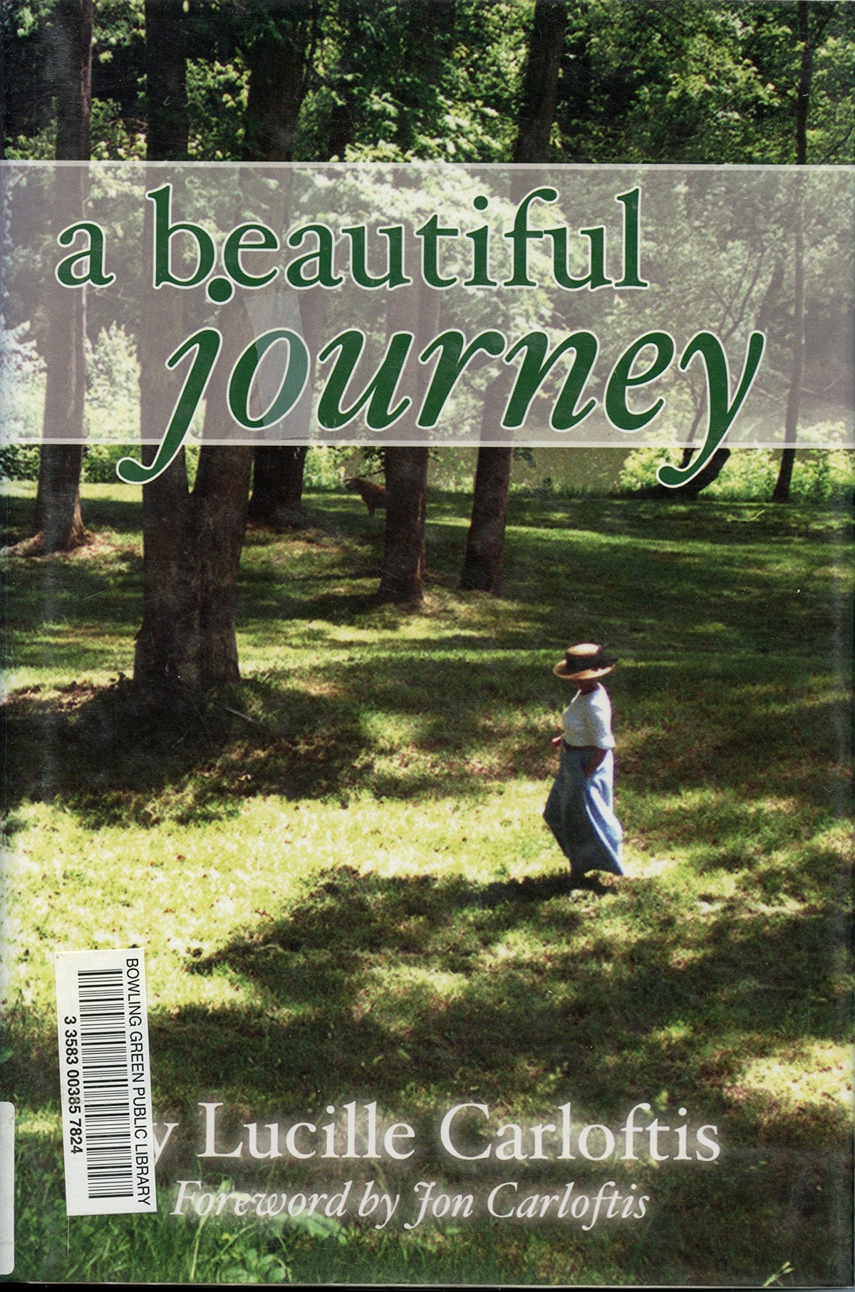 A Beautiful Journey