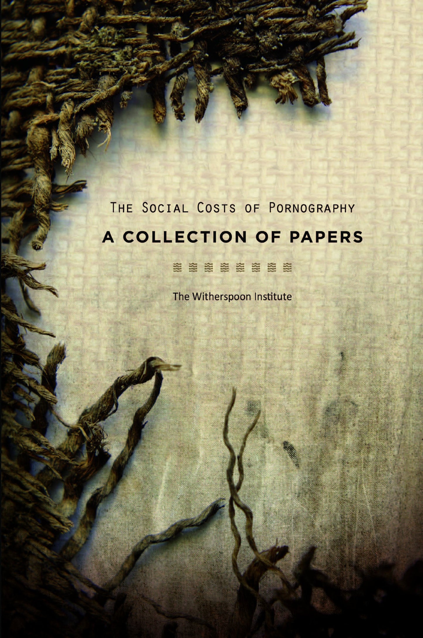 The Social Costs of Pornography: A Collection of Papers