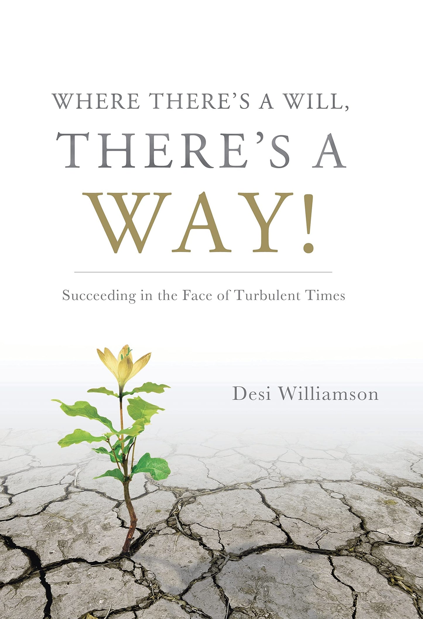 Where There's a Will, There's a Way: Succeeding in the Face of Turbulent Times