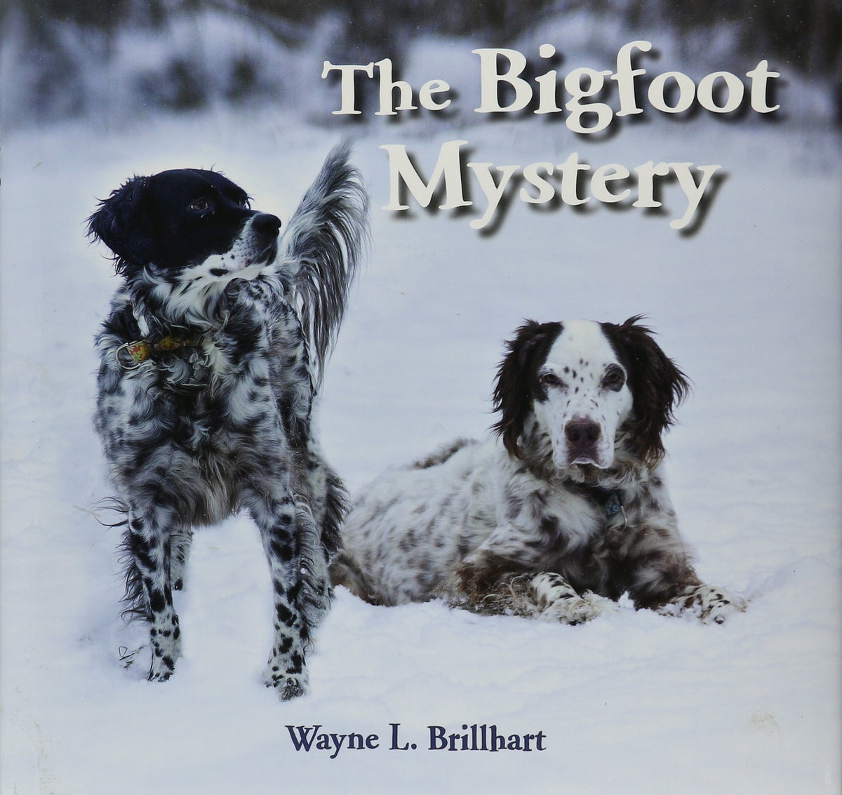 The Bigfoot Mystery