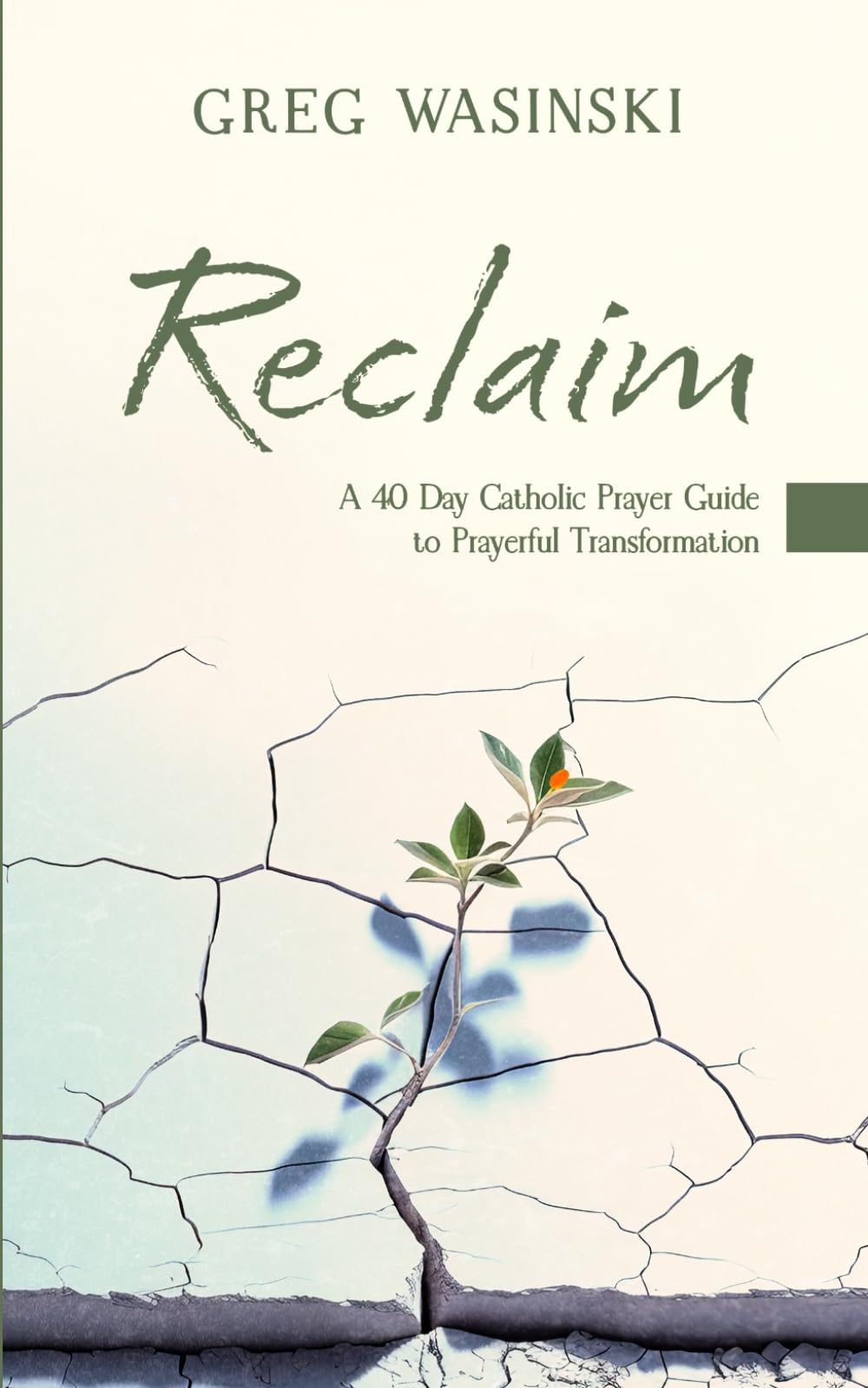 RECLAIM: A 40 Day Catholic Prayer Guide to Prayerful Transformation