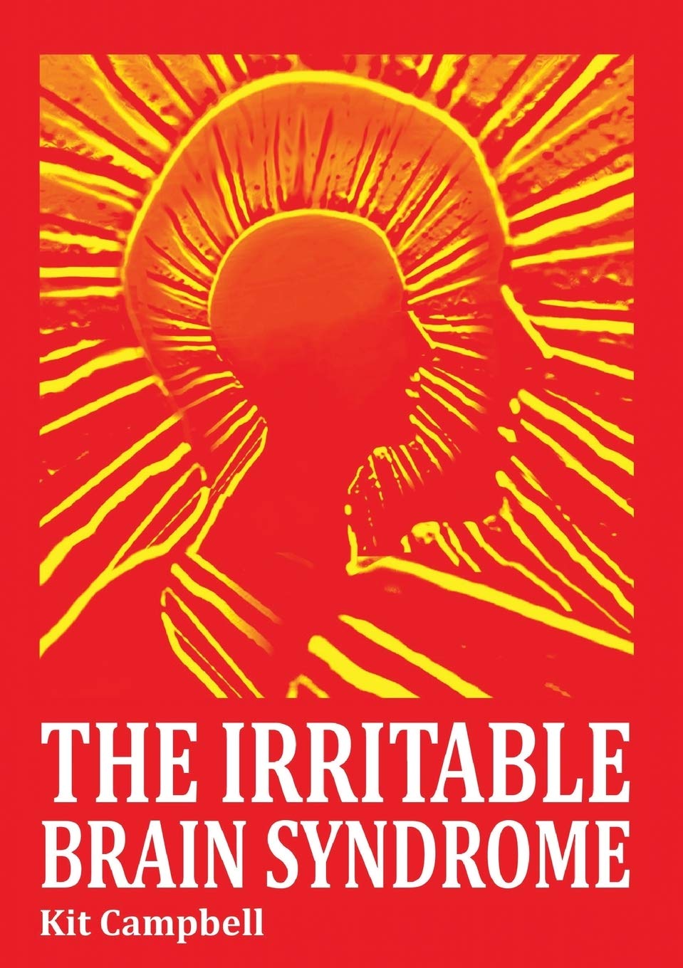 The Irritable Brain Syndrome
