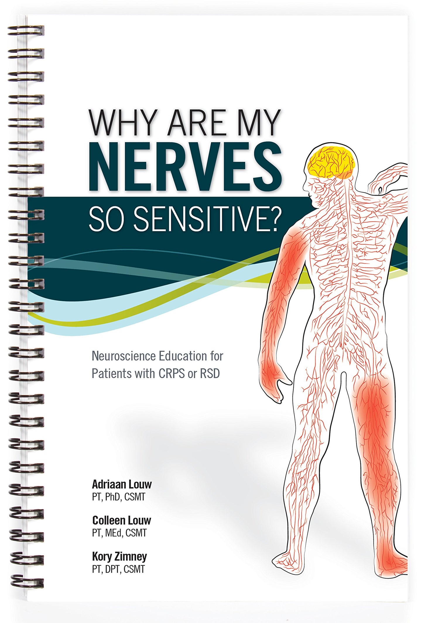 Why Are My Nerves So Sensitive?: Neuroscience Education for Patients with CRPS or RSD