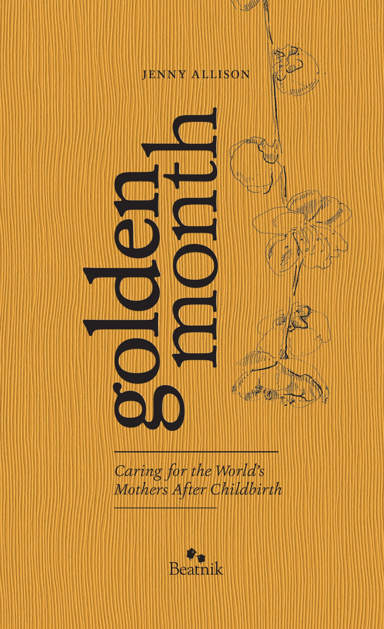 Golden Month: Caring for the World's Mothers After Childbirth