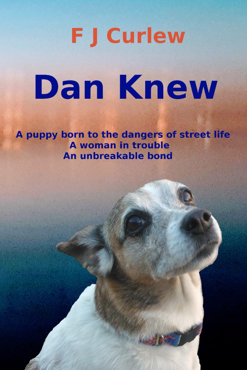 Dan Knew