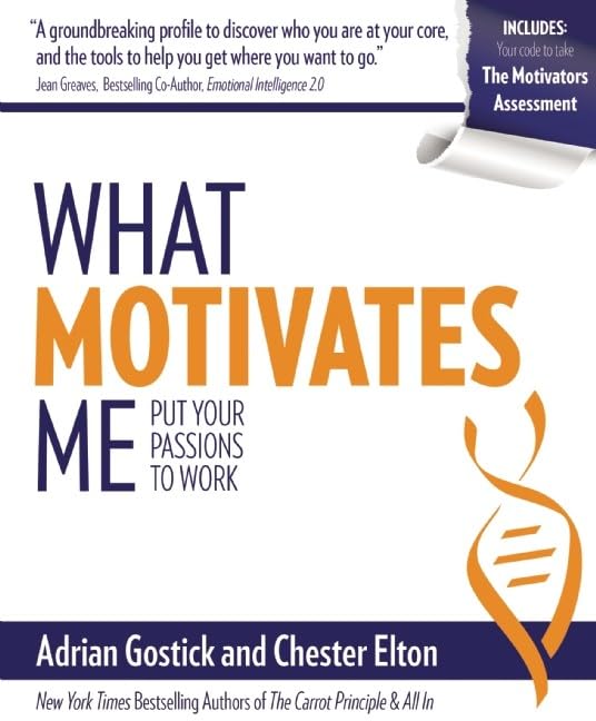 What Motivates Me: Put Your Passions to Work