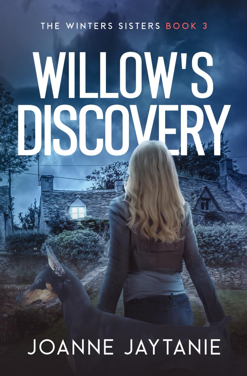 Willow's Discovery (The Winters Sisters)