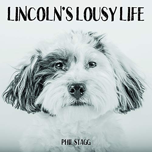 Lincoln's Lousy Life - Children's hardcover fiction book - life lessons from a puppy