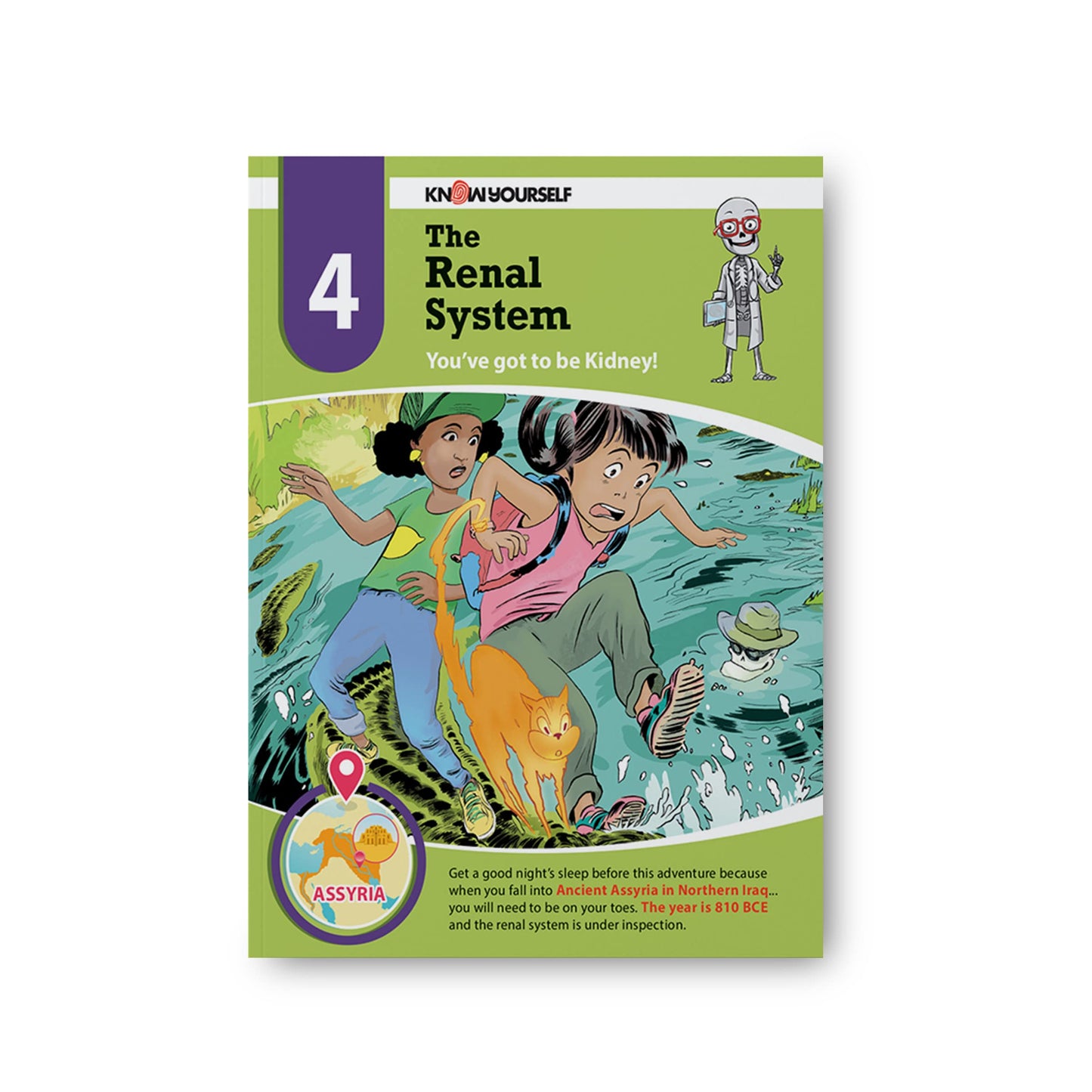 The Renal System: You've got to be Kidney - Adventure 4 (Systems of the Body)
