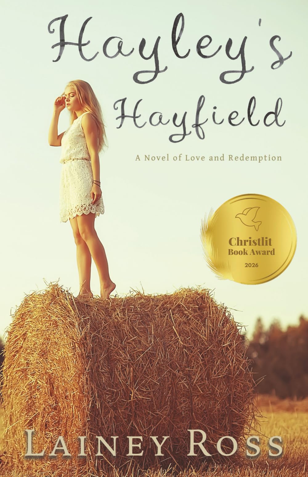 Hayley's Hayfield: A Small Town Young Adult Romance (Blink, Oklahoma)